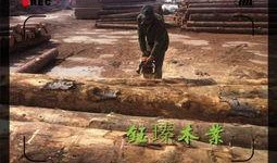 吉林木材厂爆料信息网最新,揭秘行业黑幕，探寻绿色环保之路