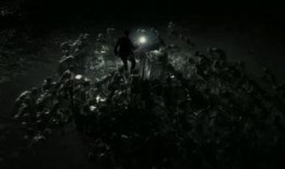 邪恶异种手机在线观看,手机病毒肆虐，揭秘在线观看惊悚真相